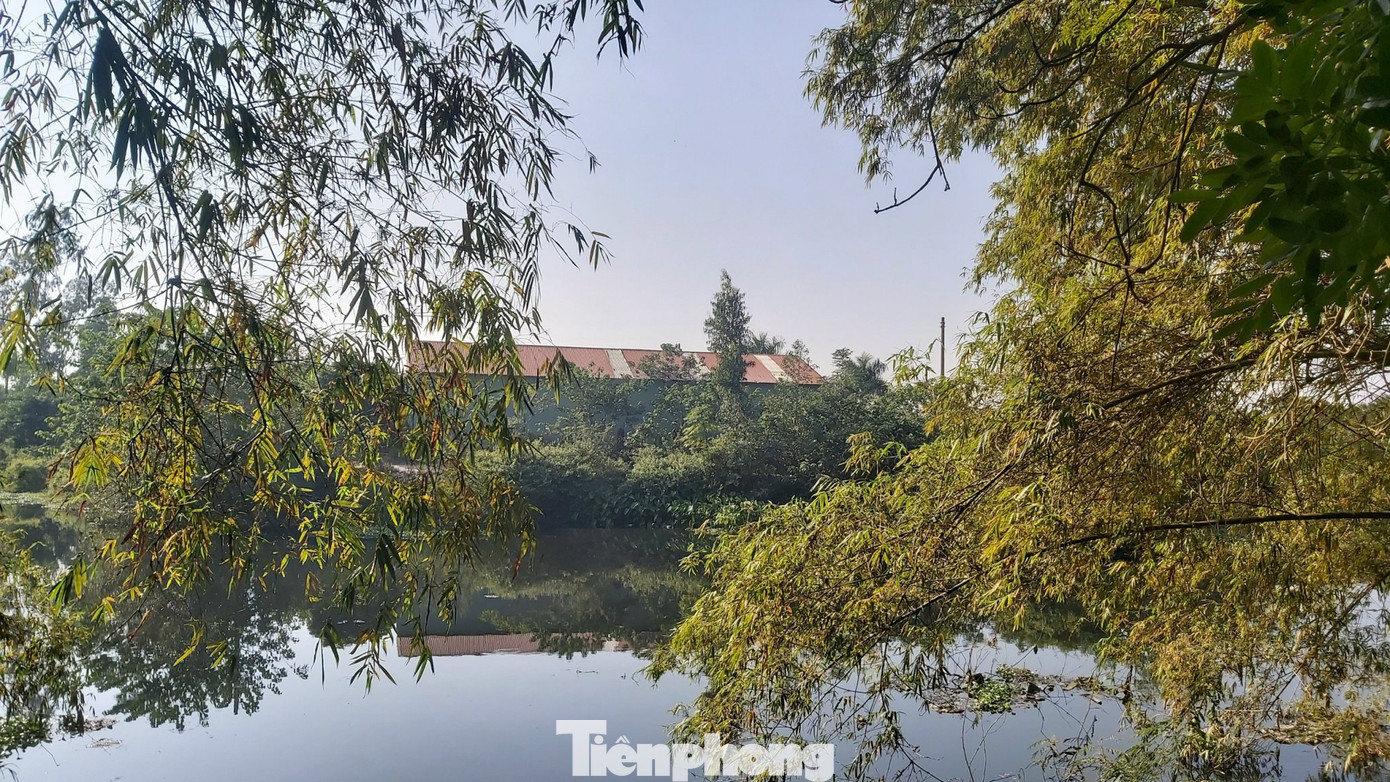 Ghê sợ dòng kênh đen sủi bọt đổ ra sông lớn ở Bắc Ninh ảnh 5