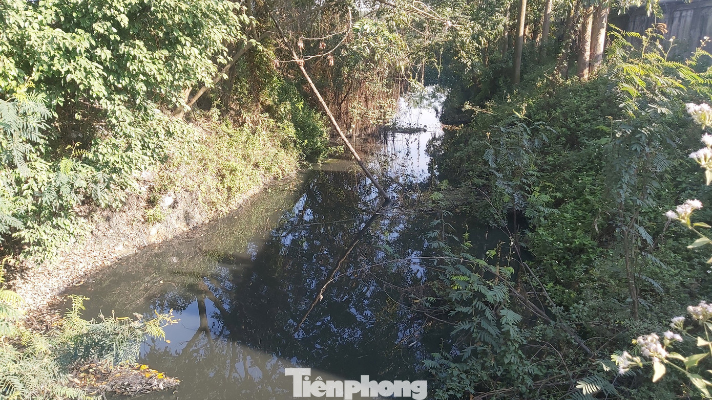 Ghê sợ dòng kênh đen sủi bọt đổ ra sông lớn ở Bắc Ninh ảnh 2