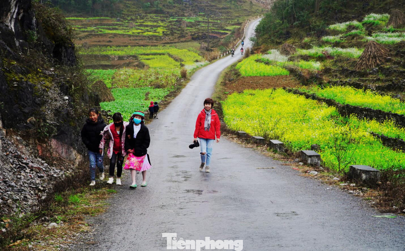 Hoa cải nhuộm vàng núi đá Hà Giang ảnh 10