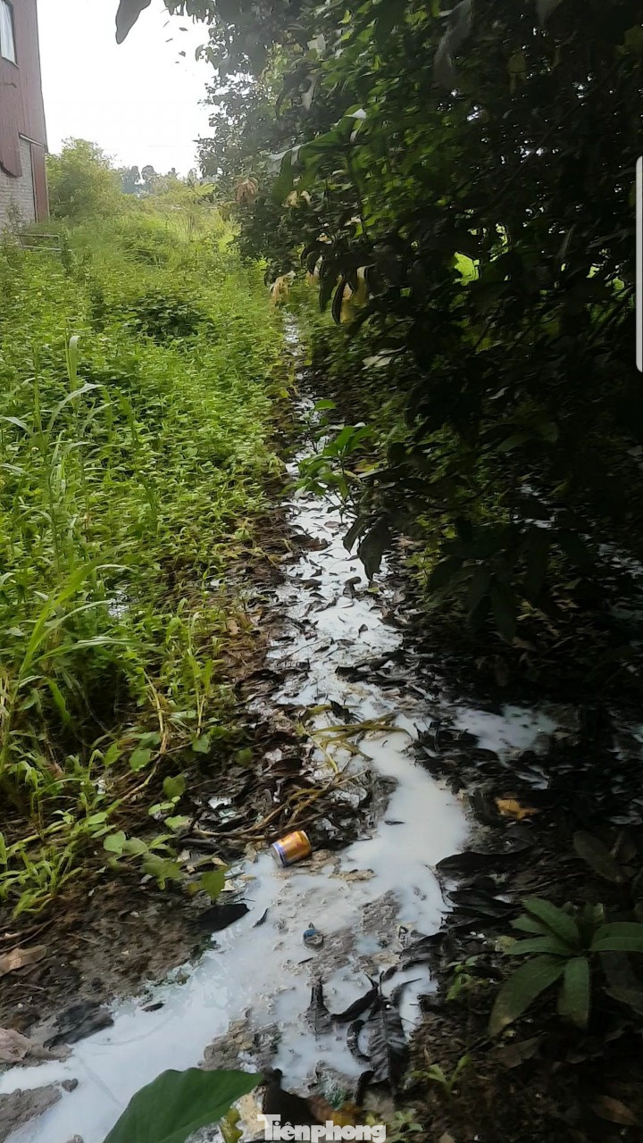 Nhà máy băng keo ‘đầu độc’ khu dân cư ở Hưng Yên vì sao chưa bị đóng cửa? ảnh 1