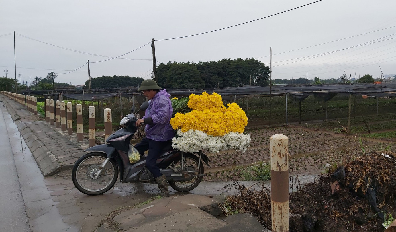 Giữa dịch Covid, làng hoa, cửa hàng hoa heo hắt trước ngày 8/3 ảnh 4