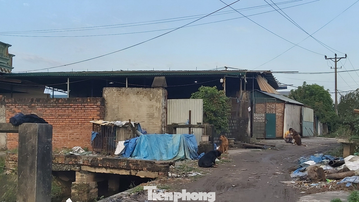 Cận cảnh nhà xưởng ô nhiễm bủa vây trường học, khu dân cư ở Hà Nội ảnh 10