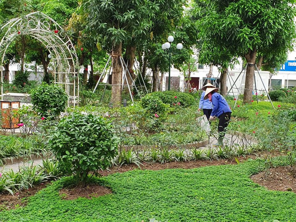 Cắt tỉa cây xanh, chỉnh trang đường phố chờ dỡ bỏ hoàn toàn cách ly ảnh 1