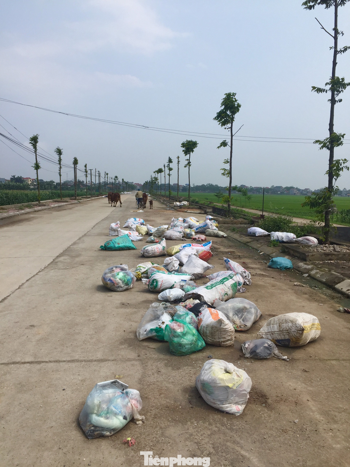 Hà Nội: Rác thải chất đống trên đường làng, kênh mương ở Mỹ Đức ảnh 2