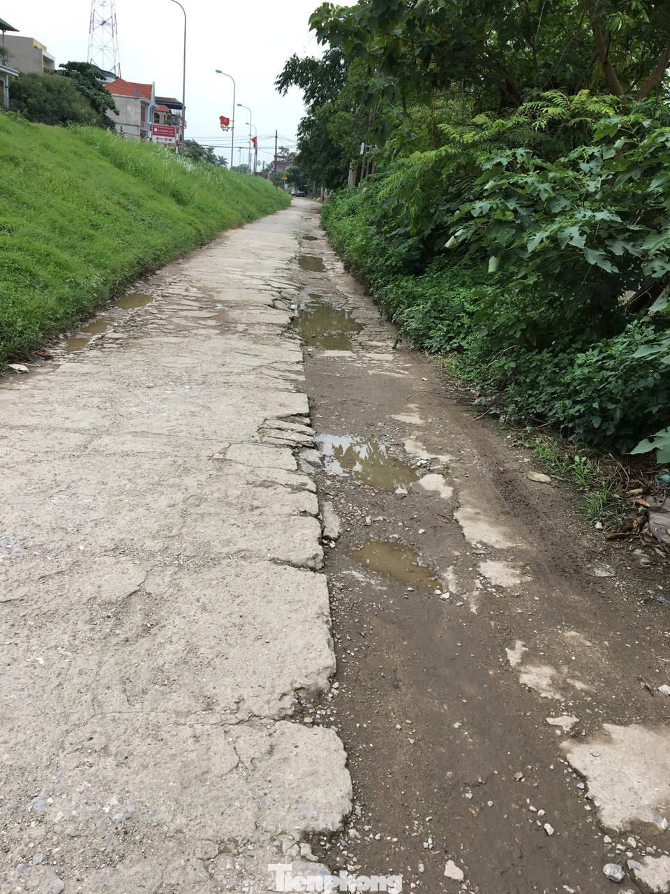 Đường Thủ đô lầy lội giữa ngày nắng, dân đổ gạch lấp 'ổ trâu' không xuể ảnh 6