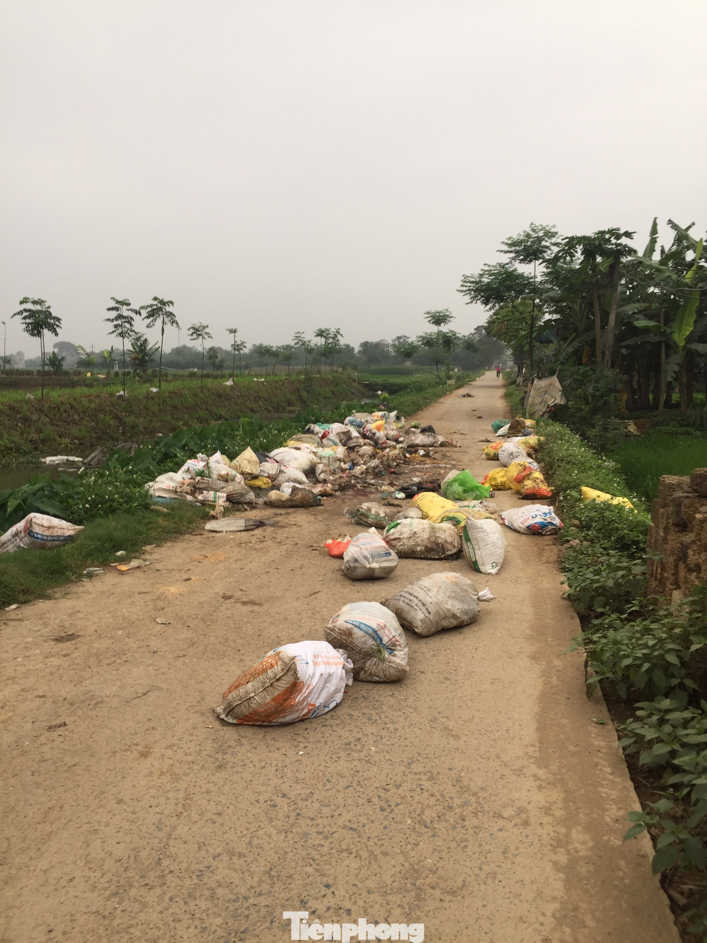 Hà Nội: Rác thải chất đống trên đường làng, kênh mương ở Mỹ Đức ảnh 5