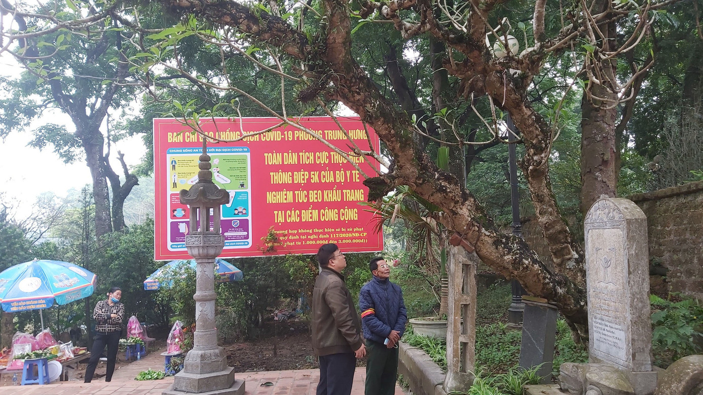 Khám phá rừng lim độc đáo, hơn nghìn năm tuổi tại Hà Nội ảnh 11