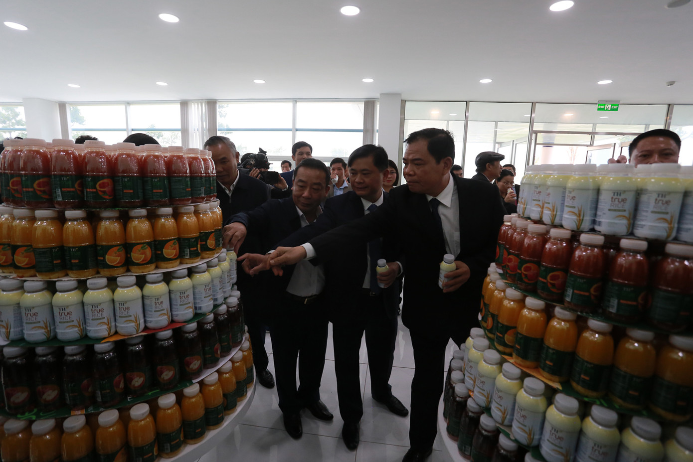 Tập đoàn TH nhập 4.500 bò sữa cao sản thuần chủng về Việt Nam ảnh 5