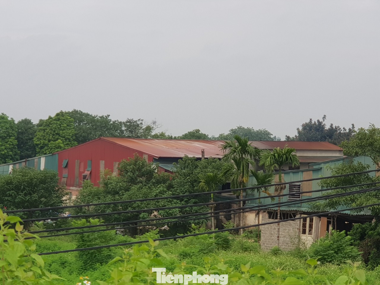 Loạt nhà xưởng trái phép, dùng cao su làm chất đốt ở Hà Nội ảnh 5