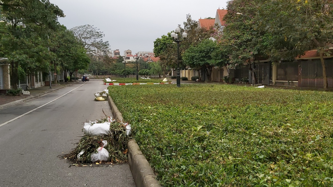 Cắt tỉa cây xanh, chỉnh trang đường phố chờ dỡ bỏ hoàn toàn cách ly ảnh 4