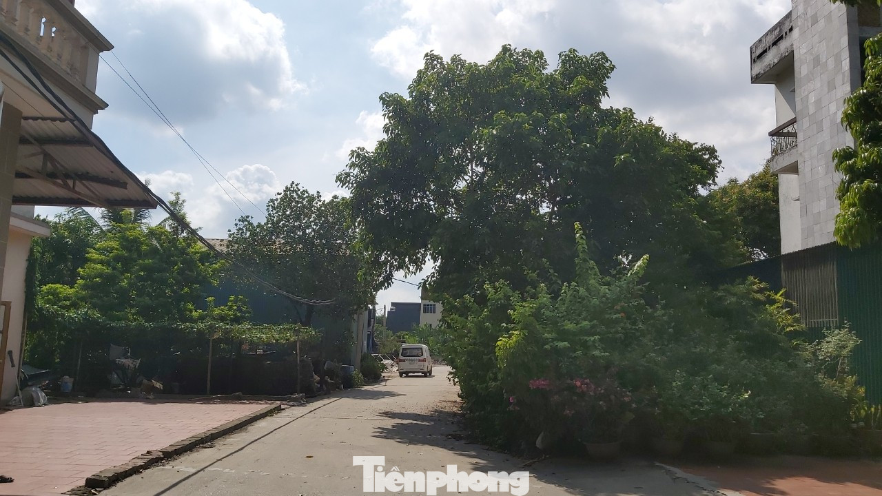 Cưỡng chế khu nhà xưởng 'nhảy dù' xuống ruộng ở ngoại thành Hà Nội ảnh 2