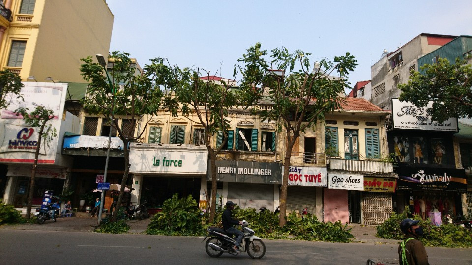 Cắt tỉa cây xanh, chỉnh trang đường phố chờ dỡ bỏ hoàn toàn cách ly ảnh 7