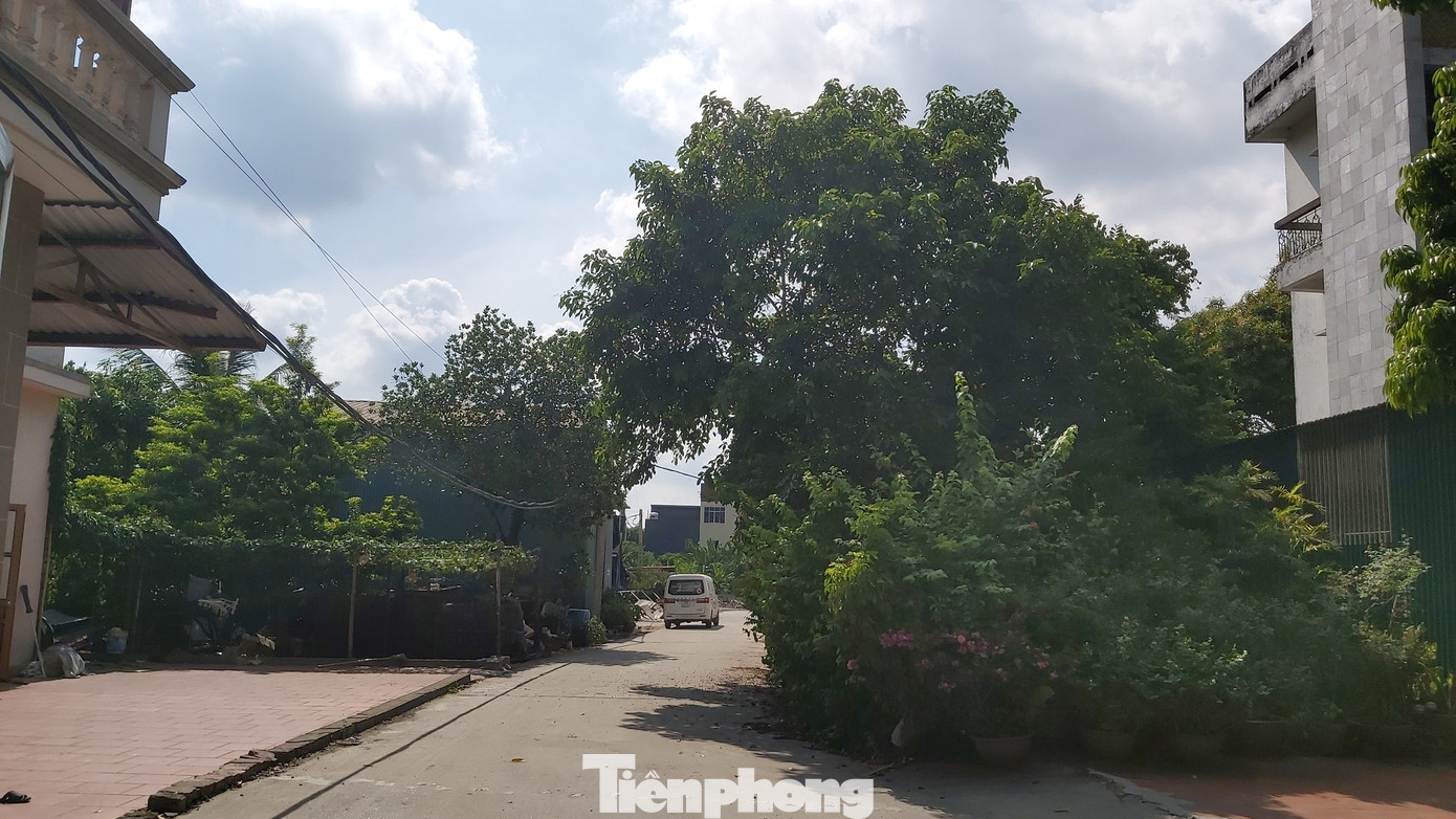 Cận cảnh nhà xưởng 'nhảy dù' dày đặc xuống đất ruộng ngoại thành Hà Nội ảnh 5