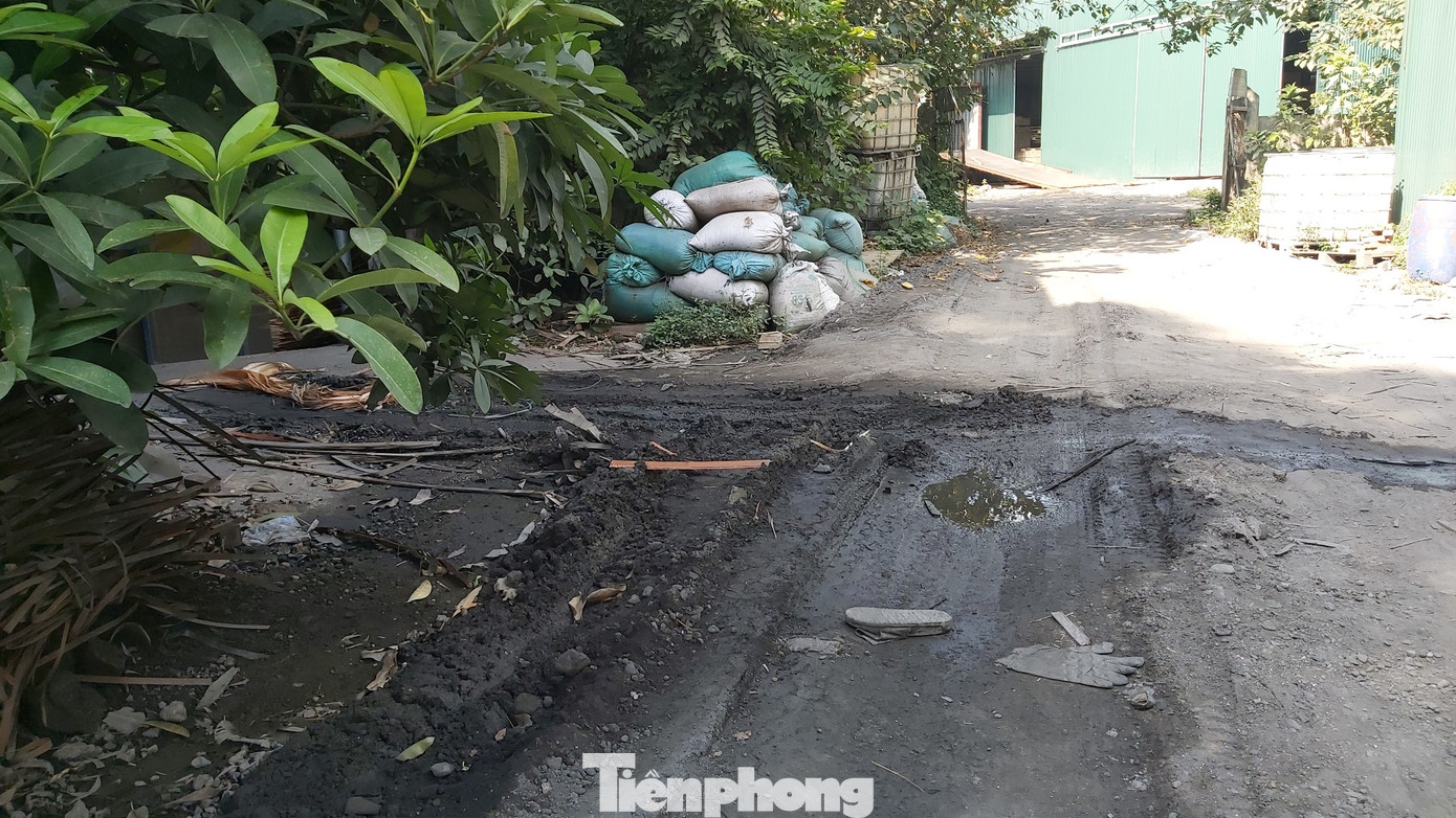 Cận cảnh nhà xưởng 'nhảy dù' dày đặc xuống đất ruộng ngoại thành Hà Nội ảnh 11