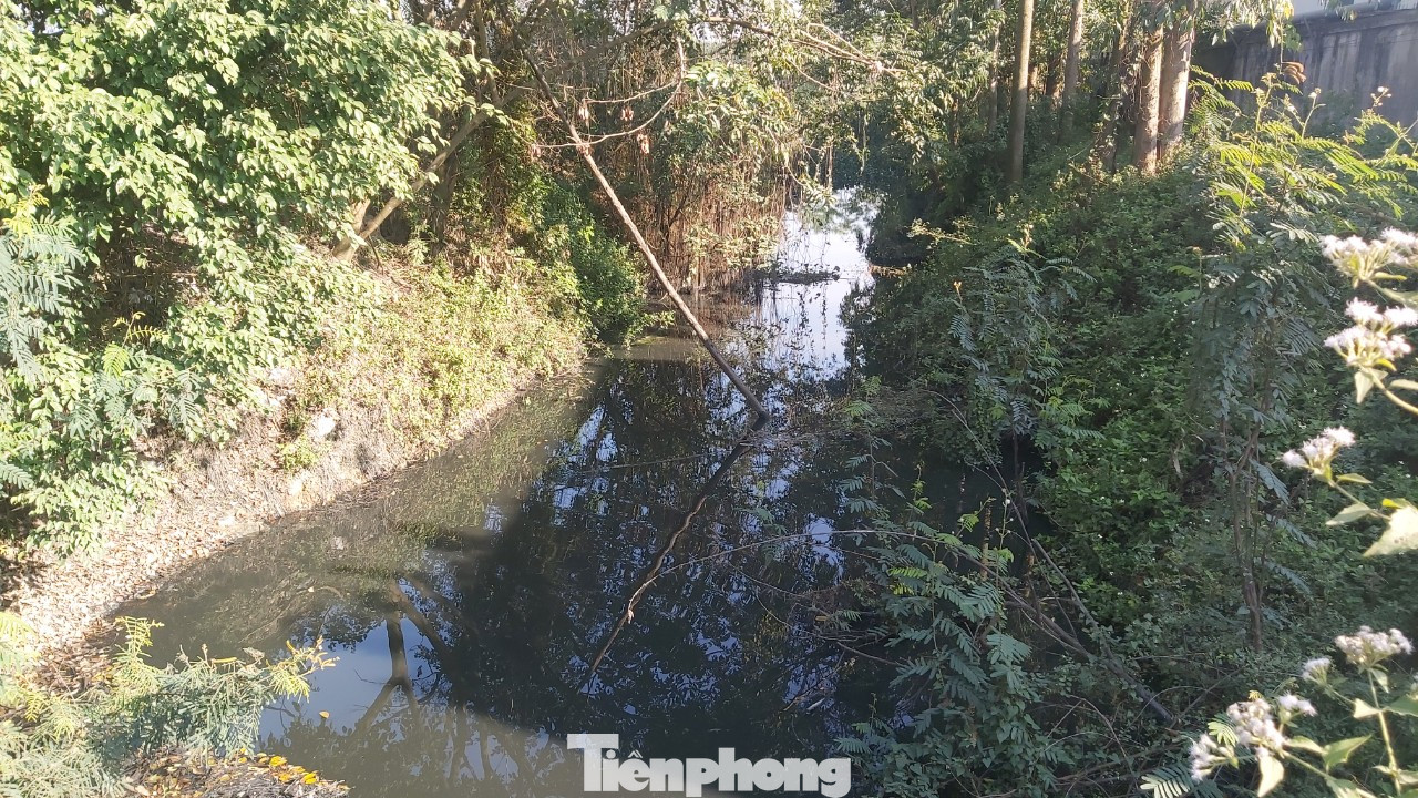 Hàng loạt nhà xưởng không phép ‘mọc’ trên đất nông nghiệp ở Bắc Ninh ảnh 9