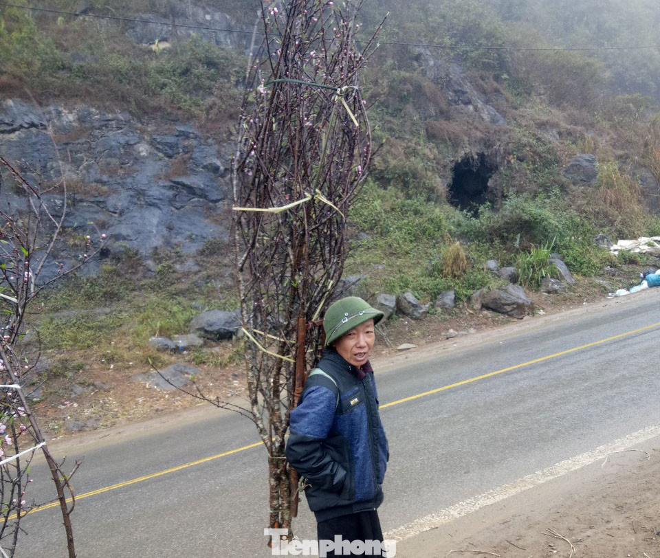 Dân buôn bỏ cuộc, người vùng cao lo mất Tết vì đào rừng khó về xuôi ảnh 3