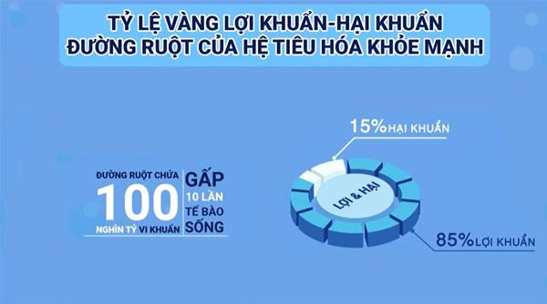 LiveSpo COLON - Men vi sinh hỗ trợ cải thiện triệu chứng viêm đại tràng sau 7 ngày ảnh 1