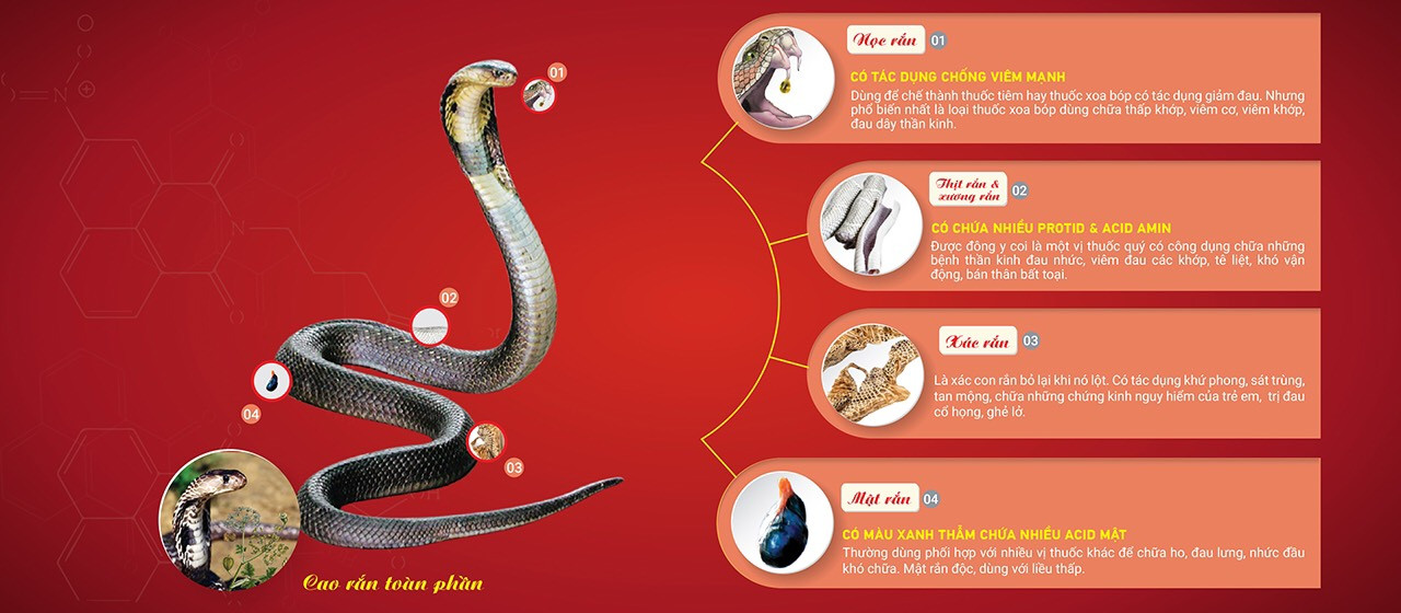 An Khớp Xà - Giải pháp đột phá trong việc cải thiện bệnh lý xương khớp ảnh 1