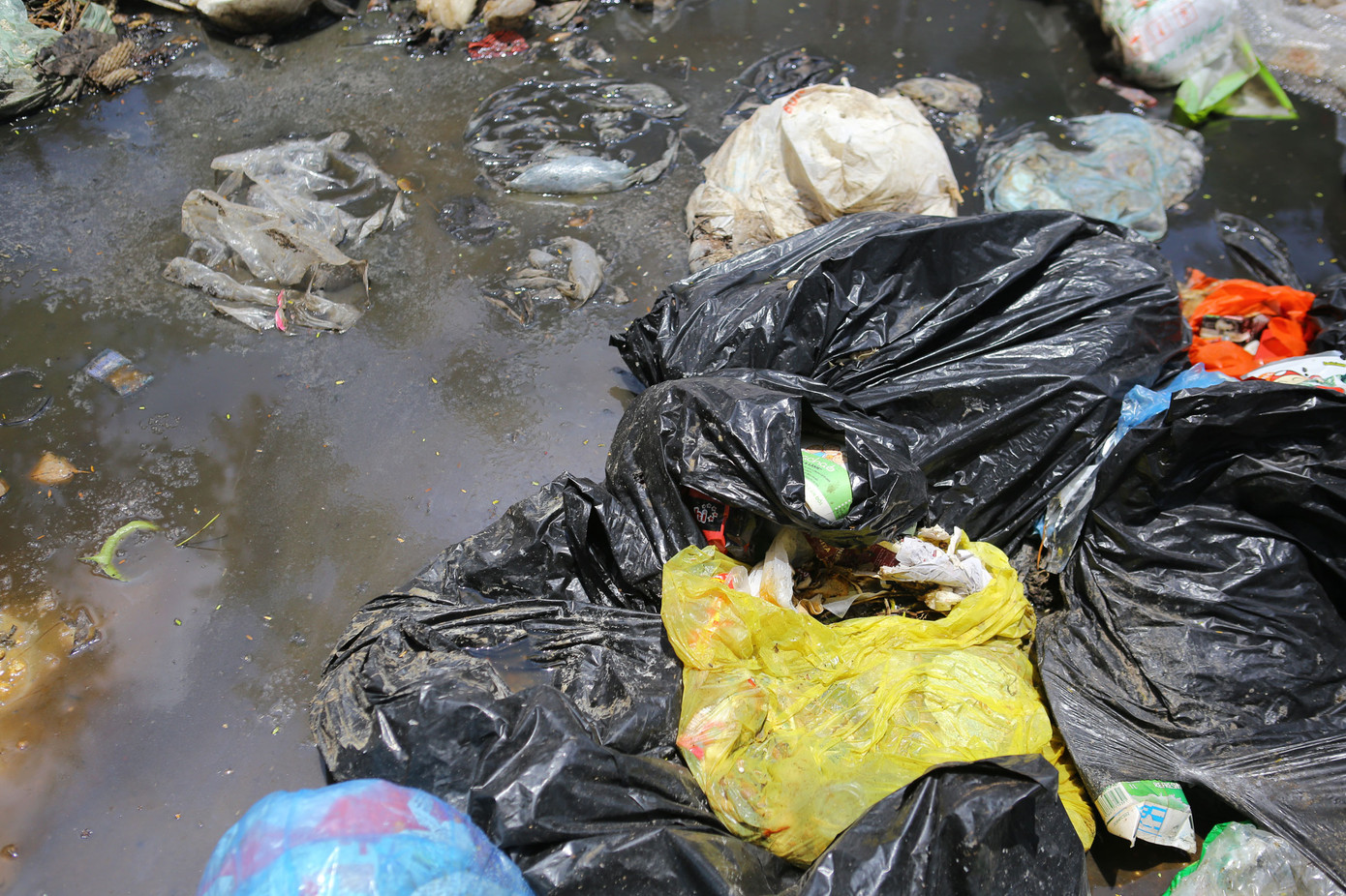 Bãi Nam Sơn thông xe, nhiều nơi ở Hà Nội vẫn ùn ứ rác thải ảnh 6