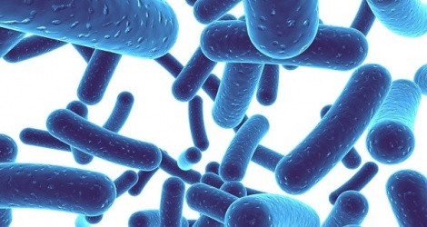 Chủ quan rối loạn tiêu hoá và những hậu quả khó lường ảnh 1