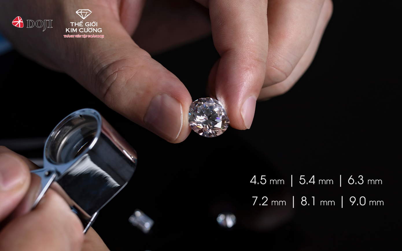 DOJI và Thế Giới Kim Cương tung ưu đãi lớn nhất năm mừng Sinh nhật ảnh 3