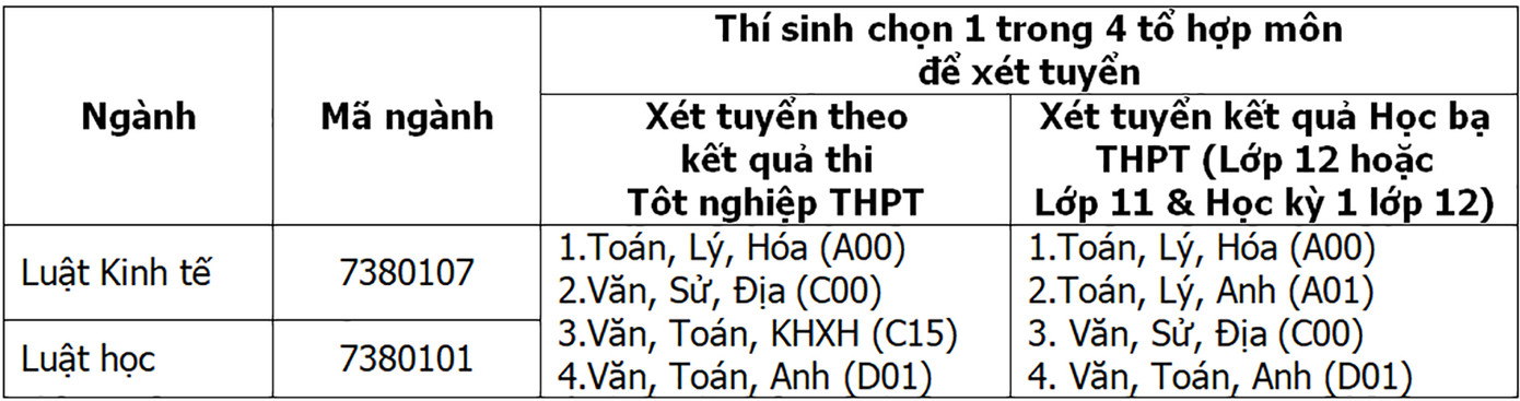 Ngành Luật và Luật Kinh tế: Sứ mệnh của cán cân công lý ảnh 5