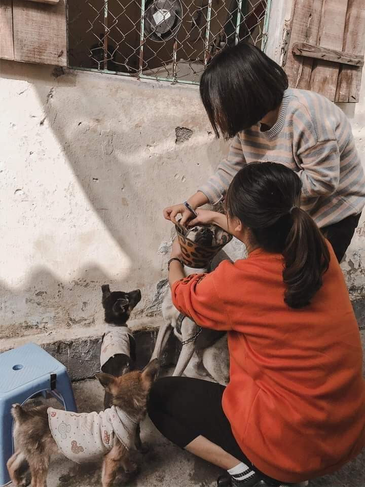 Trạm cứu hộ động vật phi lợi nhuận của 25 bạn trẻ ảnh 5