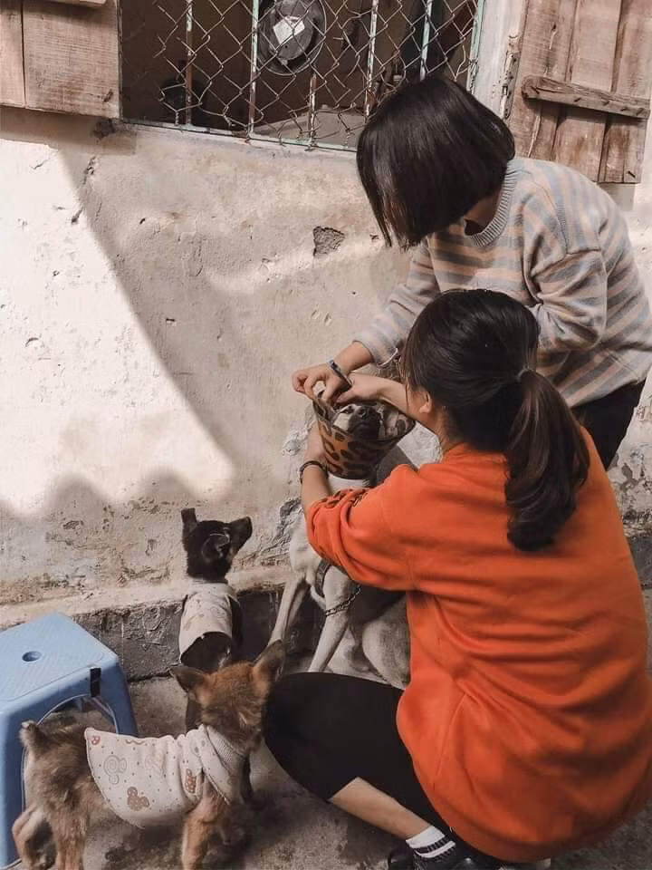 Trạm cứu hộ động vật phi lợi nhuận của 25 bạn trẻ ảnh 5