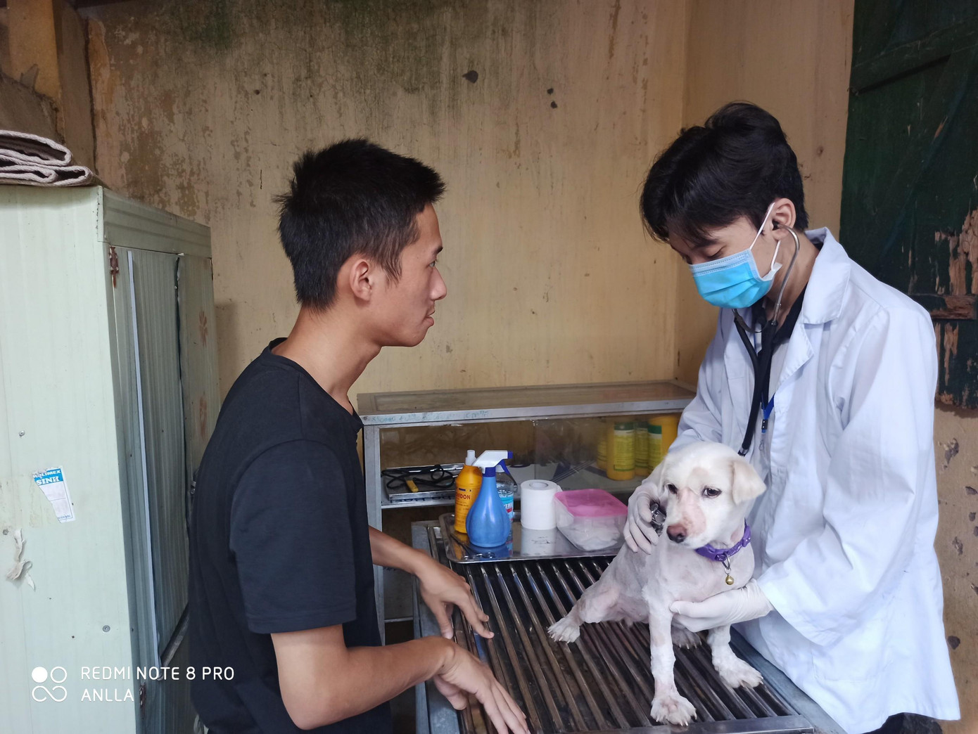 Trạm cứu hộ động vật phi lợi nhuận của 25 bạn trẻ ảnh 2