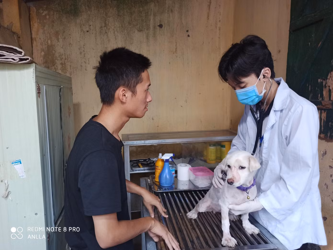 Trạm cứu hộ động vật phi lợi nhuận của 25 bạn trẻ ảnh 2