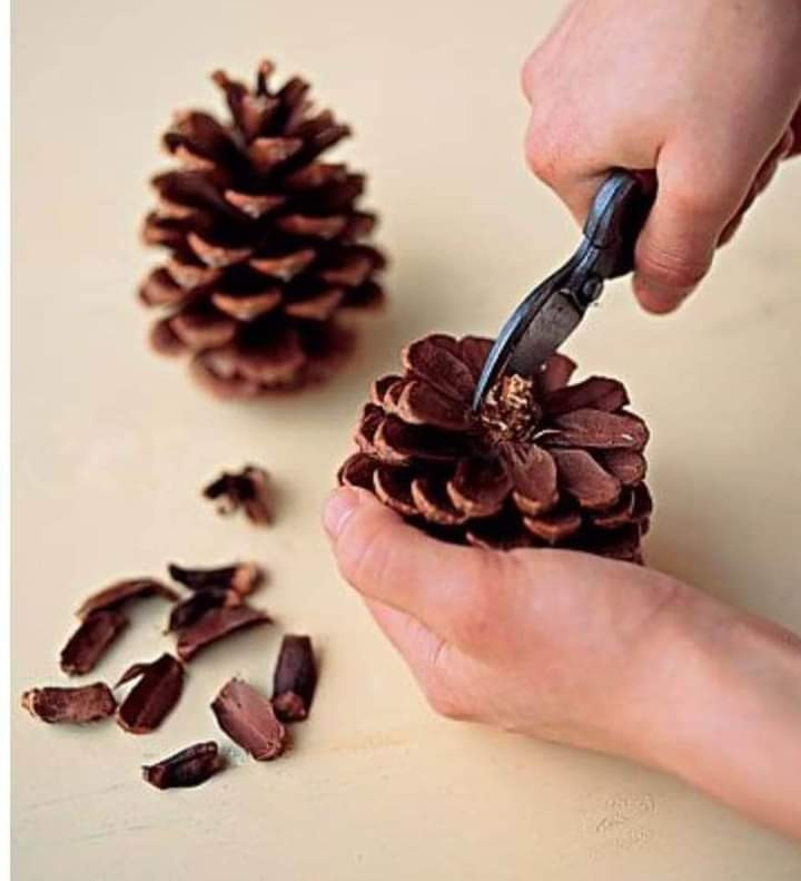 Tranh handmade độc đáo từ quả thông và dương liễu của nữ họa sĩ Đà Nẵng ảnh 5