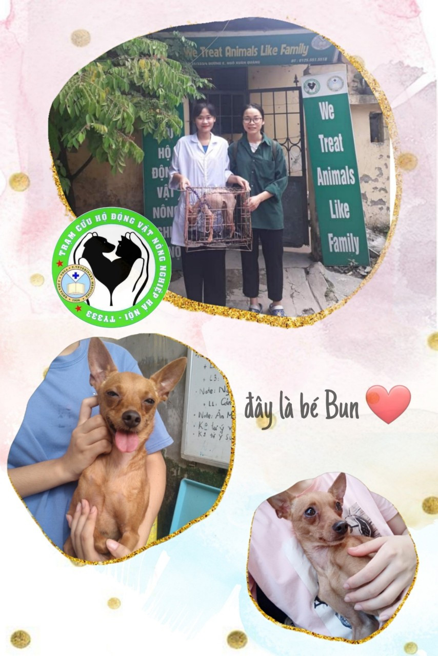 Trạm cứu hộ động vật phi lợi nhuận của 25 bạn trẻ ảnh 6