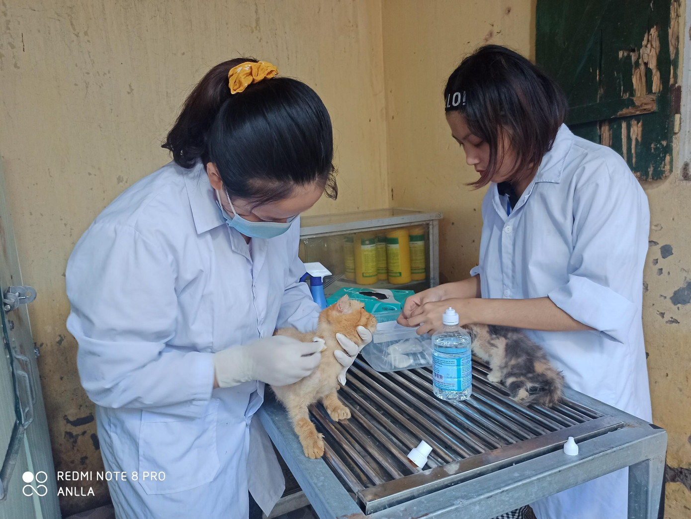 Trạm cứu hộ động vật phi lợi nhuận của 25 bạn trẻ ảnh 1