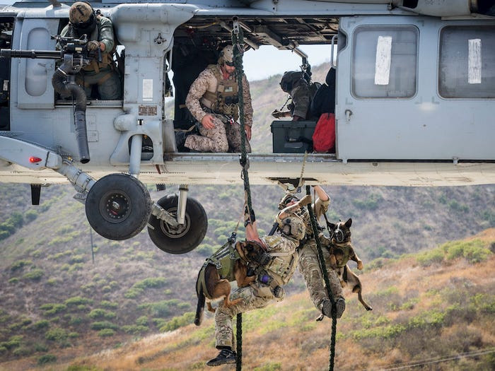 Bí mật về đội chó đa nhiệm ‘không bao giờ sủa’ của đặc công Delta, Mỹ ảnh 1