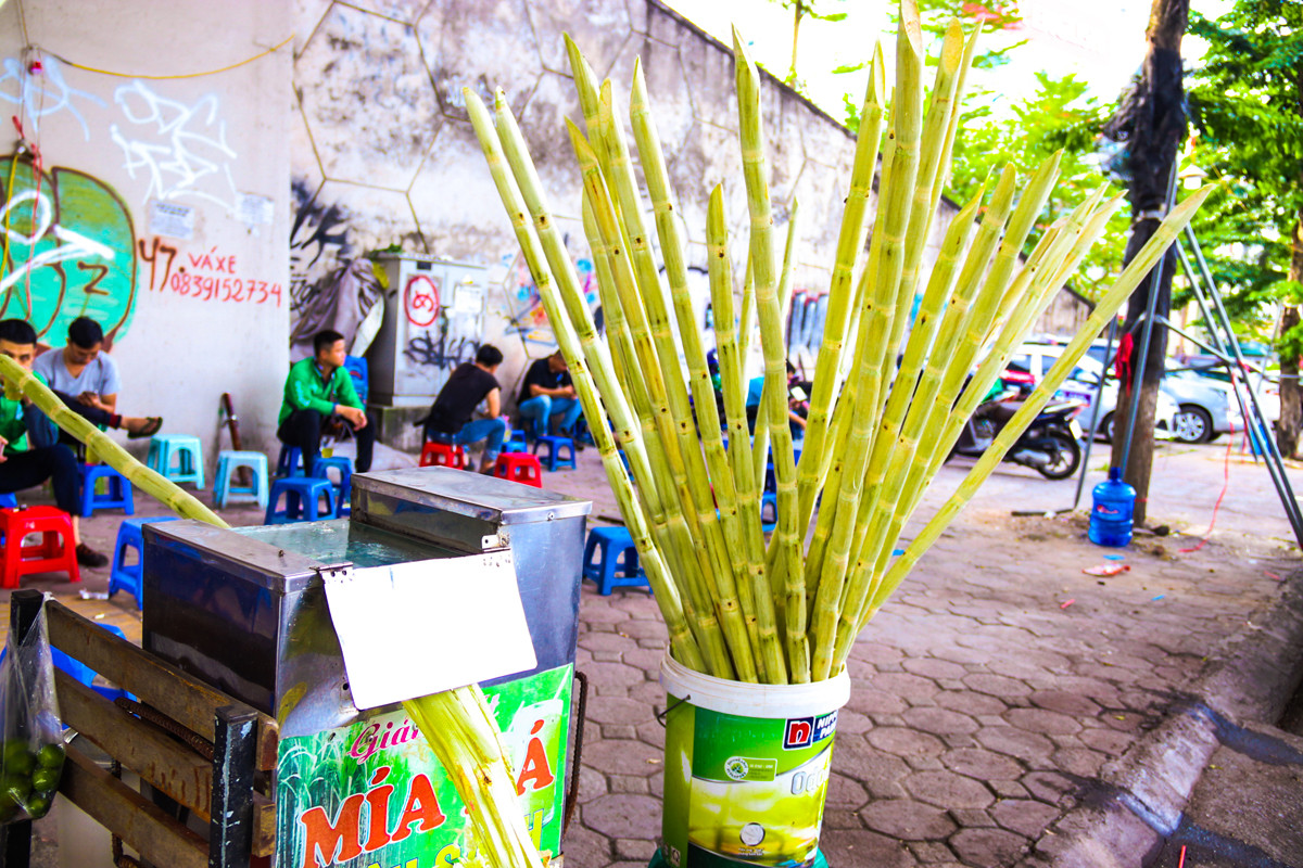 Kiếm bạc triệu mỗi ngày nhờ mía đá vỉa hè ảnh 3
