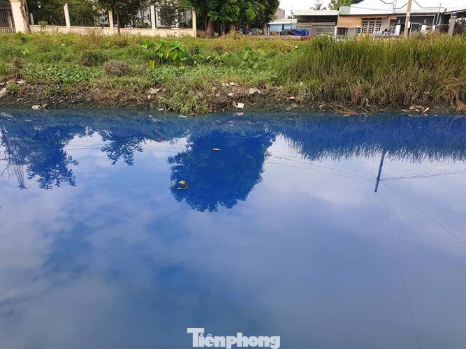 Nước kênh trong khu công nghiệp ở Bình Dương đổi màu xanh kỳ lạ ảnh 1