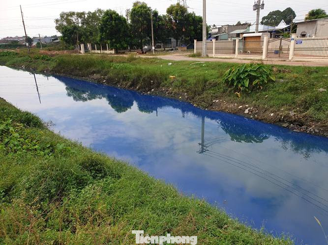 Nước kênh trong khu công nghiệp ở Bình Dương đổi màu xanh kỳ lạ ảnh 3