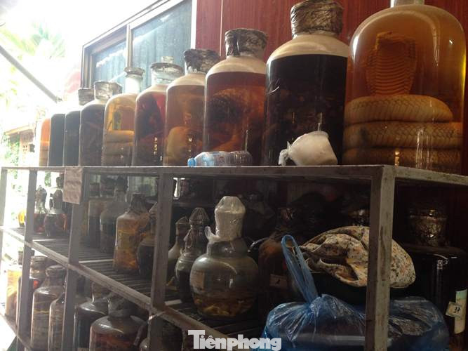 ENV cảnh báo nguy cơ nhiễm COVID-19 khi ăn thịt động vật hoang dã ảnh 2