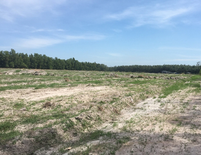 Bình Dương: Mua phải dự án ‘ma’, khách hàng treo băng rôn đòi quyền lợi ảnh 2