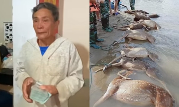 Thủy Tiên tặng bác nông dân 200 triệu trả ngân hàng: Một là cứu cả, hai là không... ảnh 1