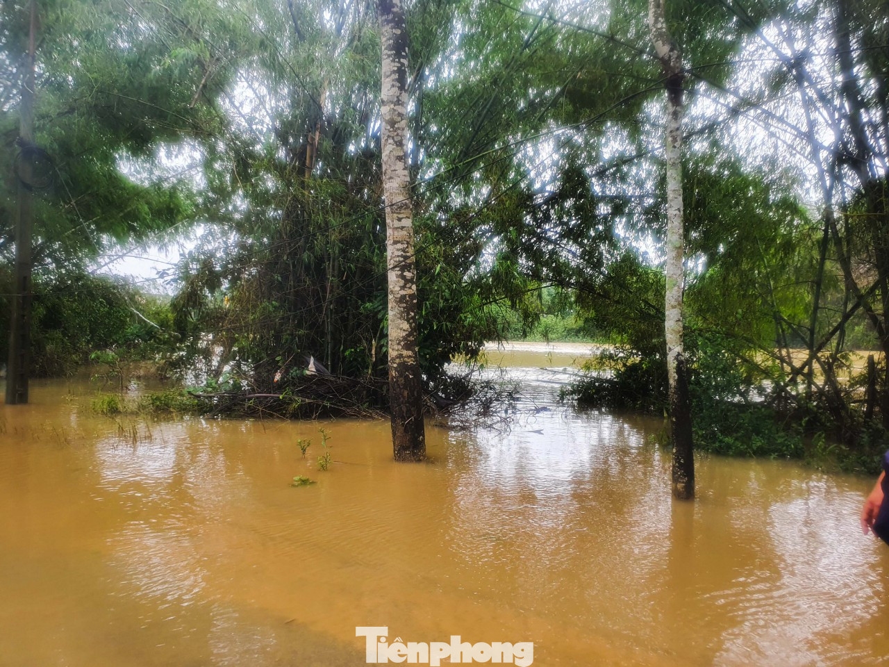 Người dân Quảng Trị mòn mỏi chờ lũ rút để được nấu cơm ảnh 17