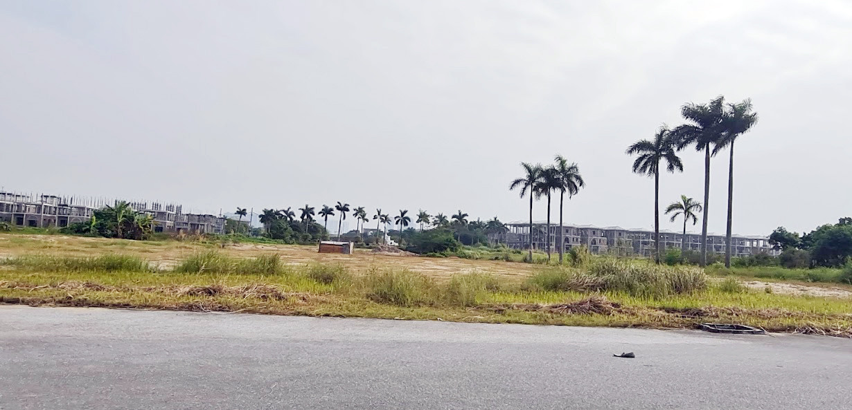 Biệt thự nuôi gà, trồng rau ngoại thành Hà Nội bất ngờ được thổi giá 'dựng ngược' ảnh 18