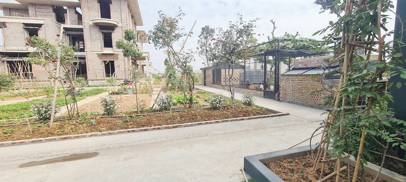 Biệt thự nuôi gà, trồng rau ngoại thành Hà Nội bất ngờ được thổi giá 'dựng ngược' ảnh 12