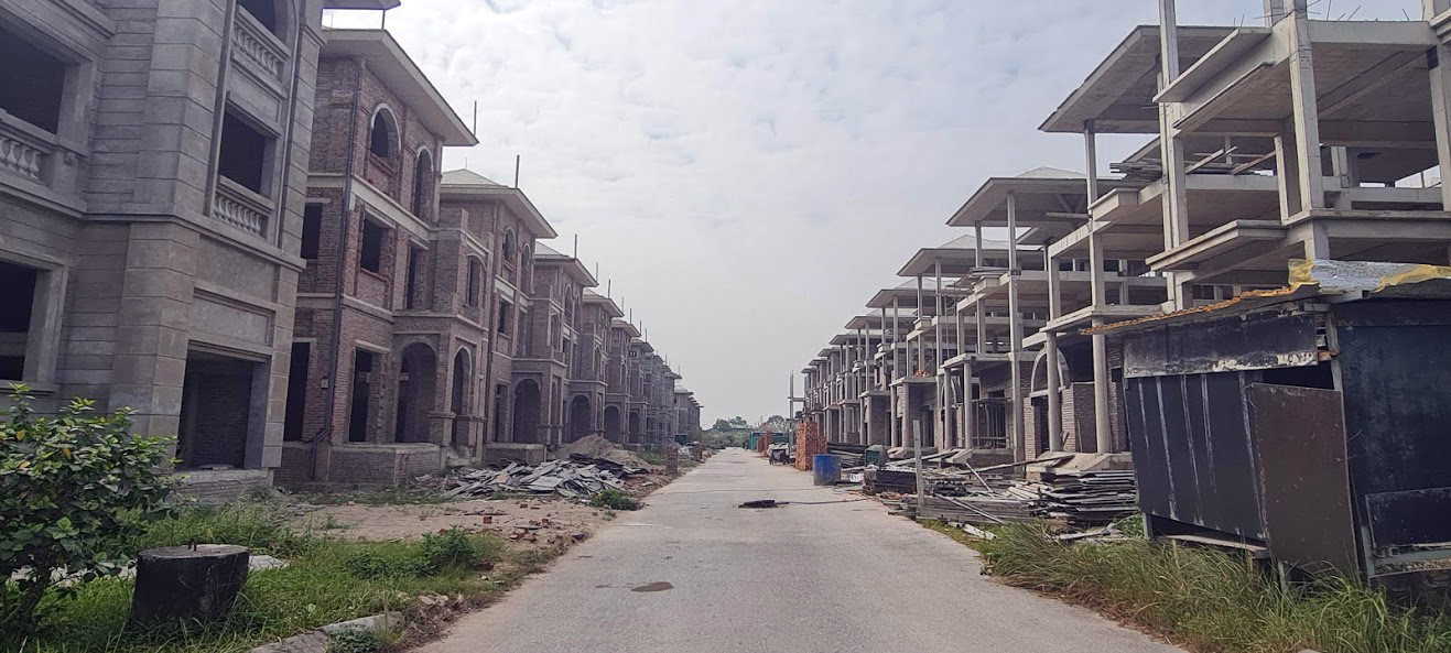 Biệt thự nuôi gà, trồng rau ngoại thành Hà Nội bất ngờ được thổi giá 'dựng ngược' ảnh 3