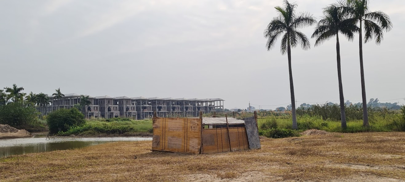 Biệt thự nuôi gà, trồng rau ngoại thành Hà Nội bất ngờ được thổi giá 'dựng ngược' ảnh 6