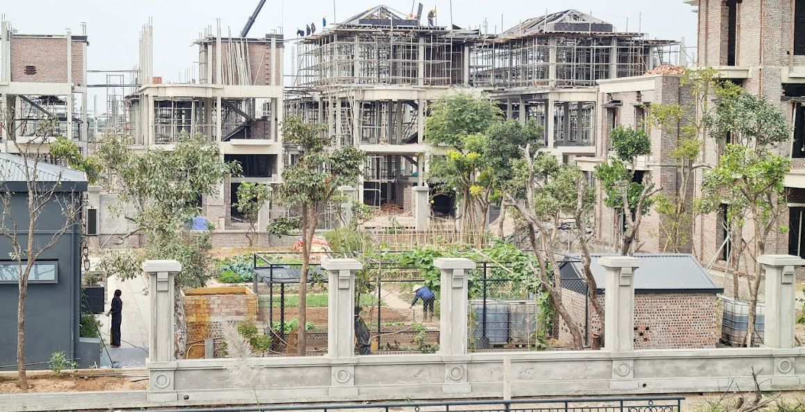 Biệt thự nuôi gà, trồng rau ngoại thành Hà Nội bất ngờ được thổi giá 'dựng ngược' ảnh 20