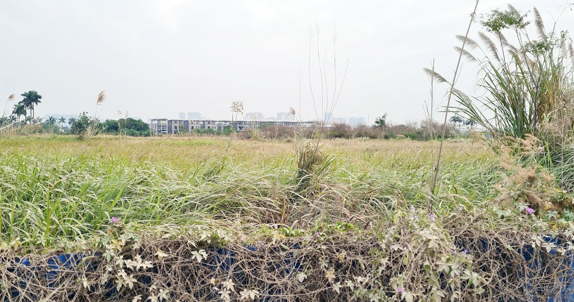 Biệt thự nuôi gà, trồng rau ngoại thành Hà Nội bất ngờ được thổi giá 'dựng ngược' ảnh 2