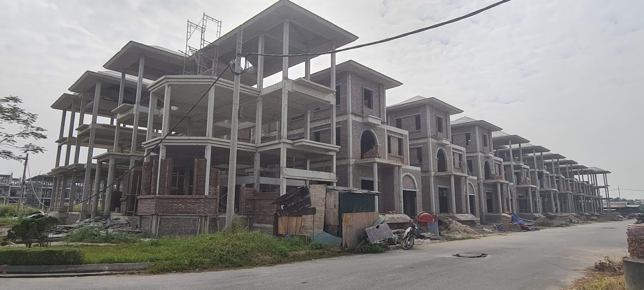 Biệt thự nuôi gà, trồng rau ngoại thành Hà Nội bất ngờ được thổi giá 'dựng ngược' ảnh 15