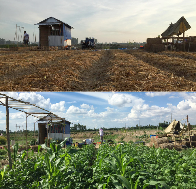 Cặp vợ chồng 'cất bằng kỹ sư' về quê làm nông dân ảnh 3