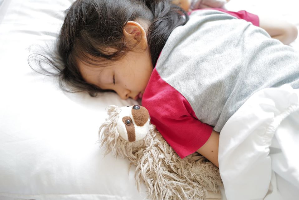 Diva Hồng Nhung tiết lộ bất ngờ từ bên trong khu cách ly ảnh 4